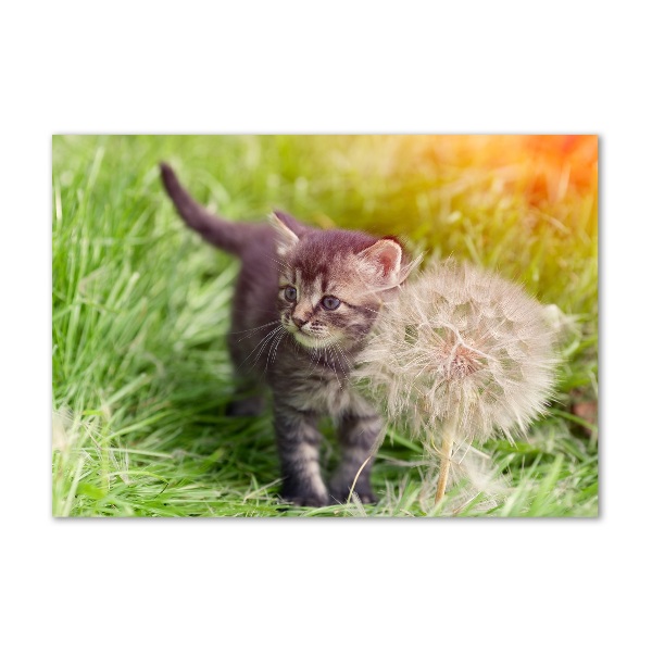 Wall art on glass Kitty with dandelion