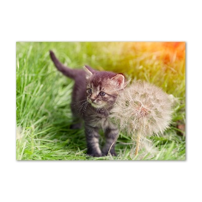 Wall art on glass Kitty with dandelion