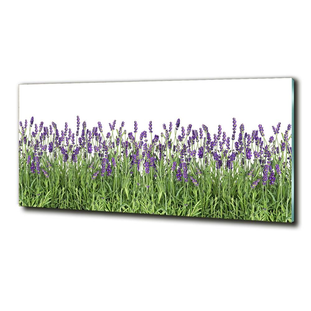 Wall art on glass Lavender flowers