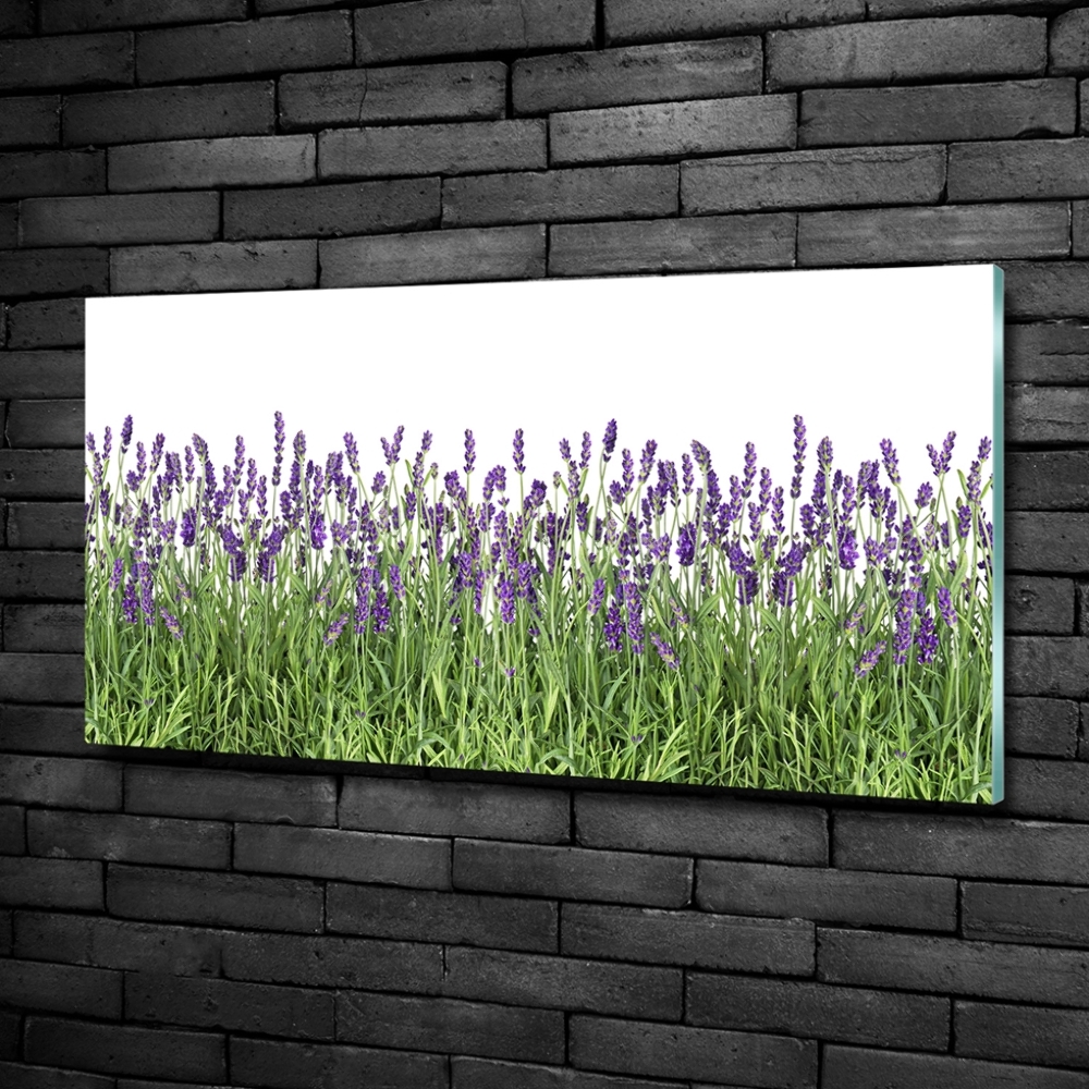 Wall art on glass Lavender flowers