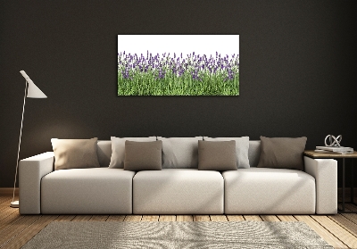 Wall art on glass Lavender flowers