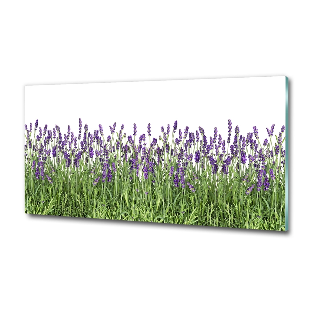 Wall art on glass Lavender flowers