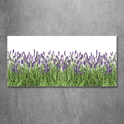 Wall art on glass Lavender flowers