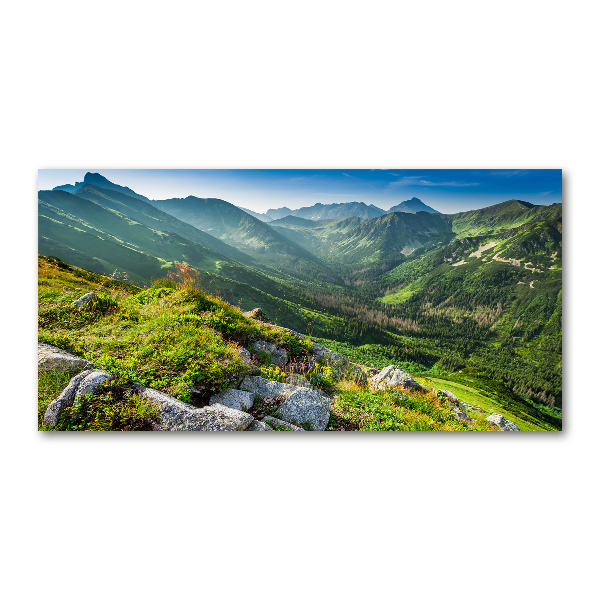 Glass picture wall art Dawn in the tatra mountains