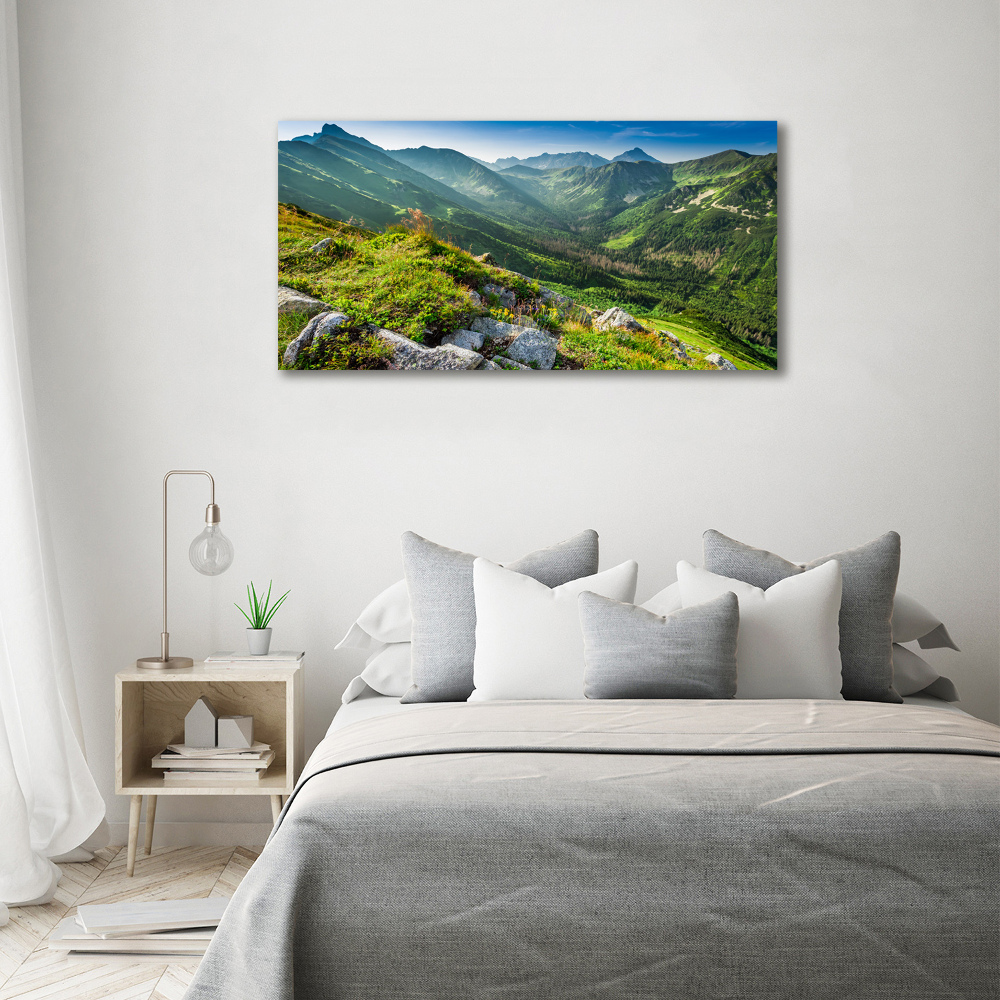 Glass picture wall art Dawn in the tatra mountains