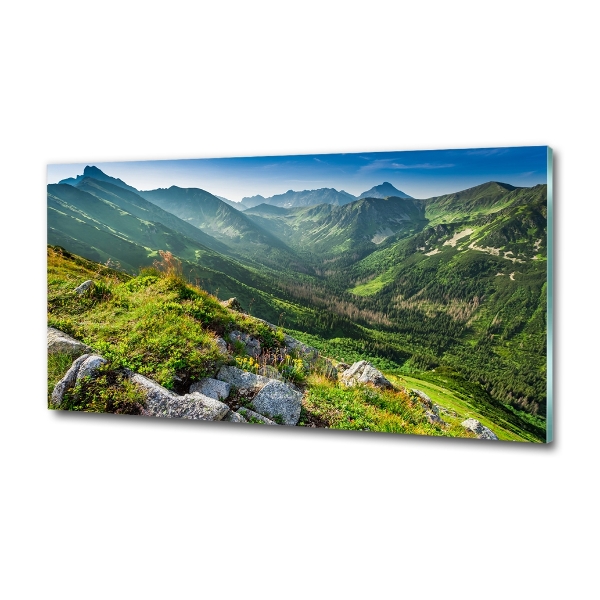 Glass picture wall art Dawn in the tatra mountains