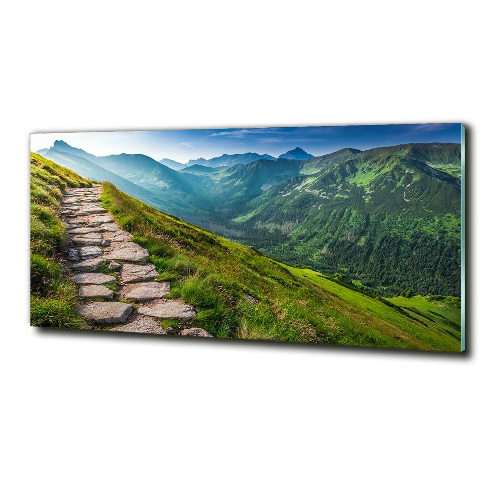 Photo printed on glass Path in the tatra mountains