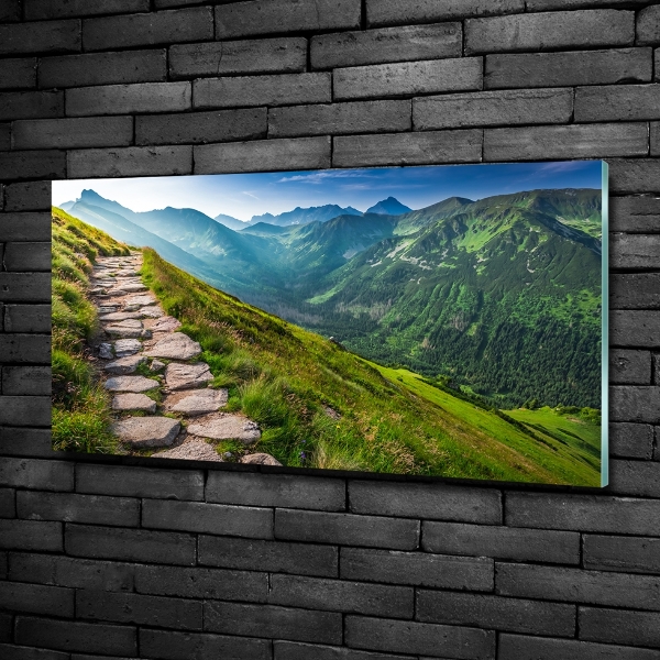 Photo printed on glass Path in the tatra mountains