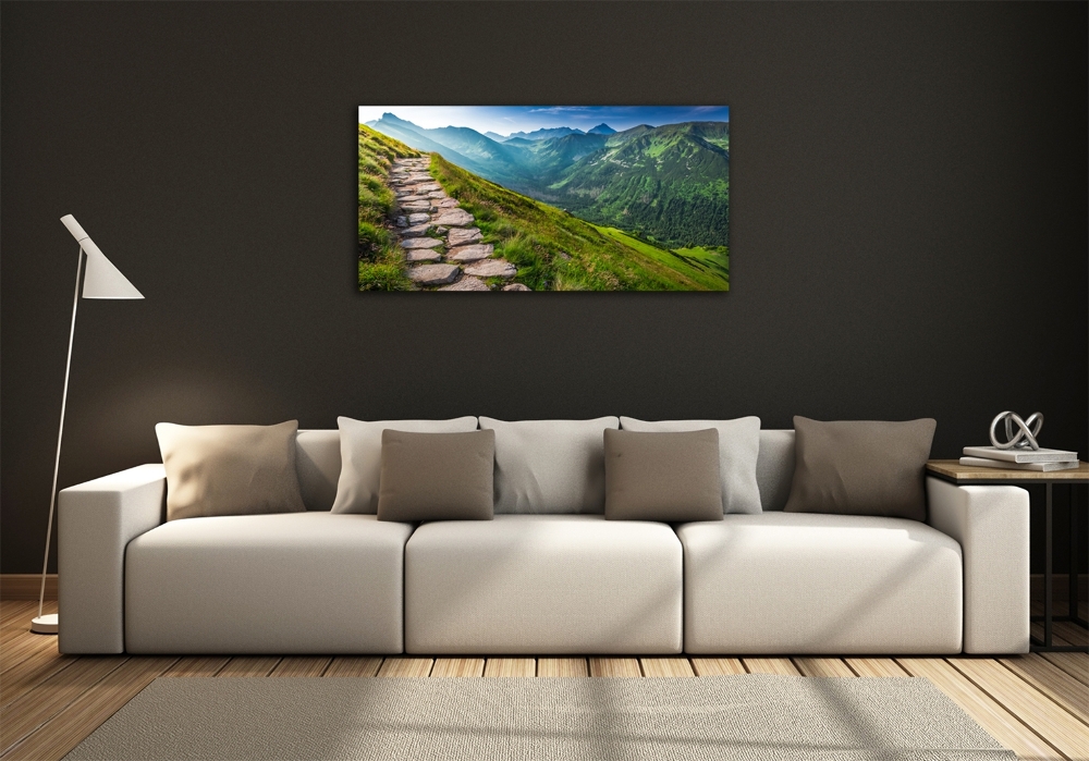 Photo printed on glass Path in the tatra mountains