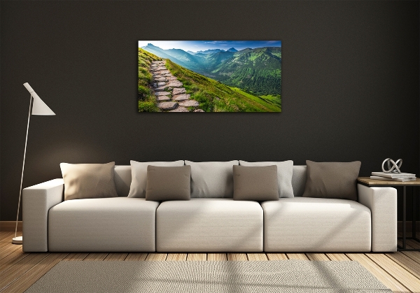 Photo printed on glass Path in the tatra mountains