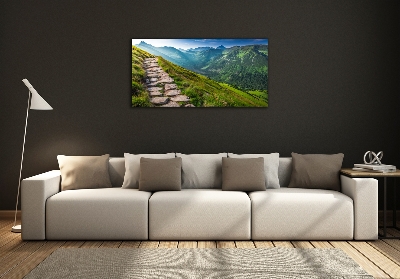 Photo printed on glass Path in the tatra mountains