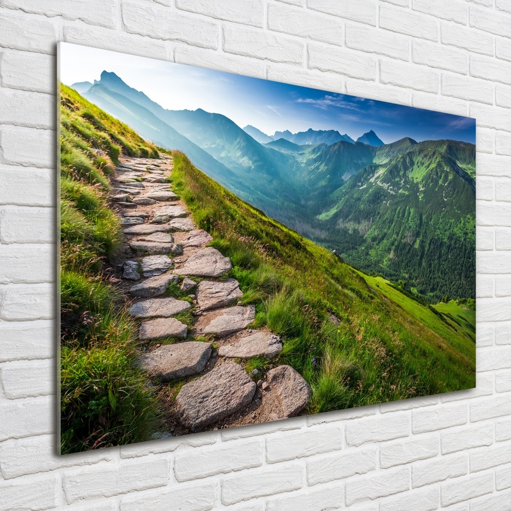 Photo printed on glass Path in the tatra mountains