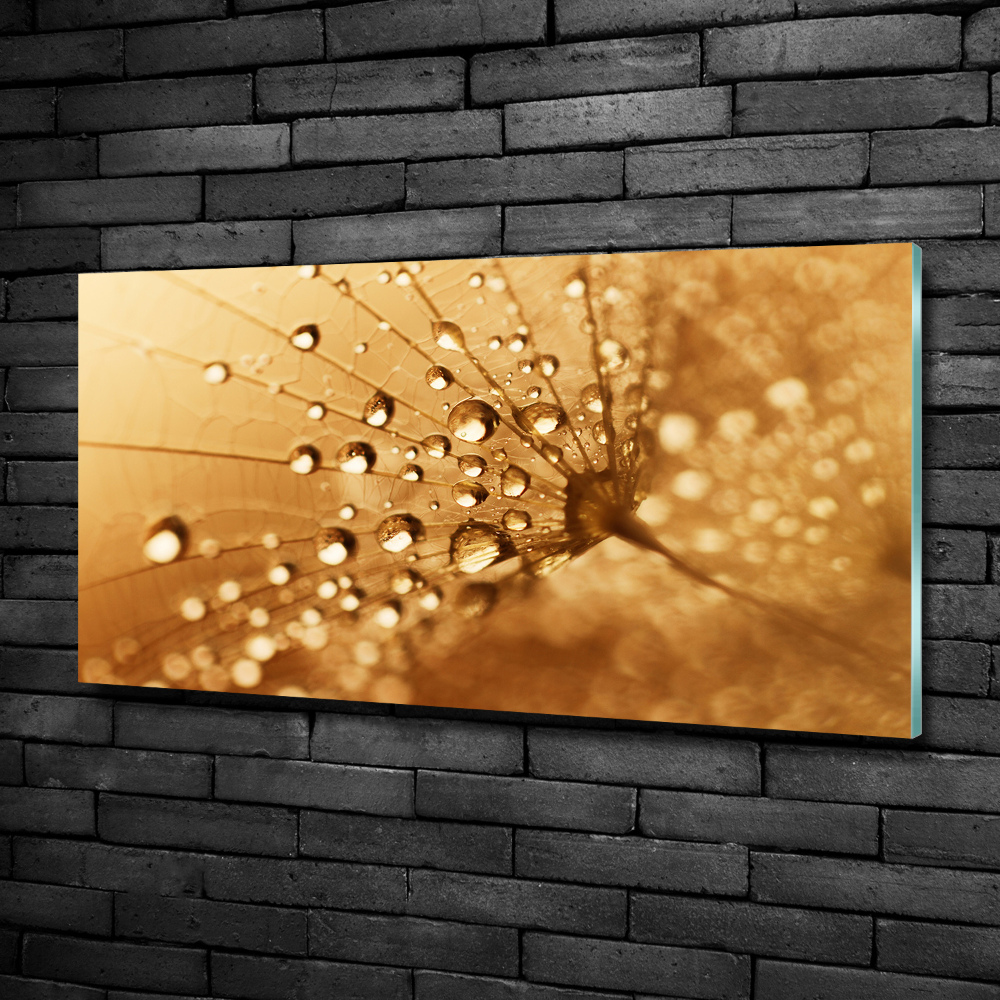 Glass art print Dandelion