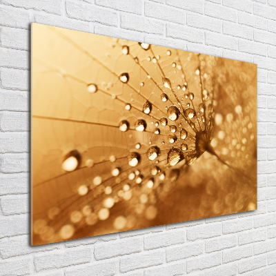 Glass art print Dandelion