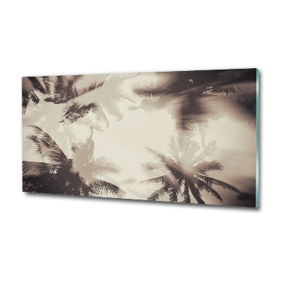 Glass art print Palm trees