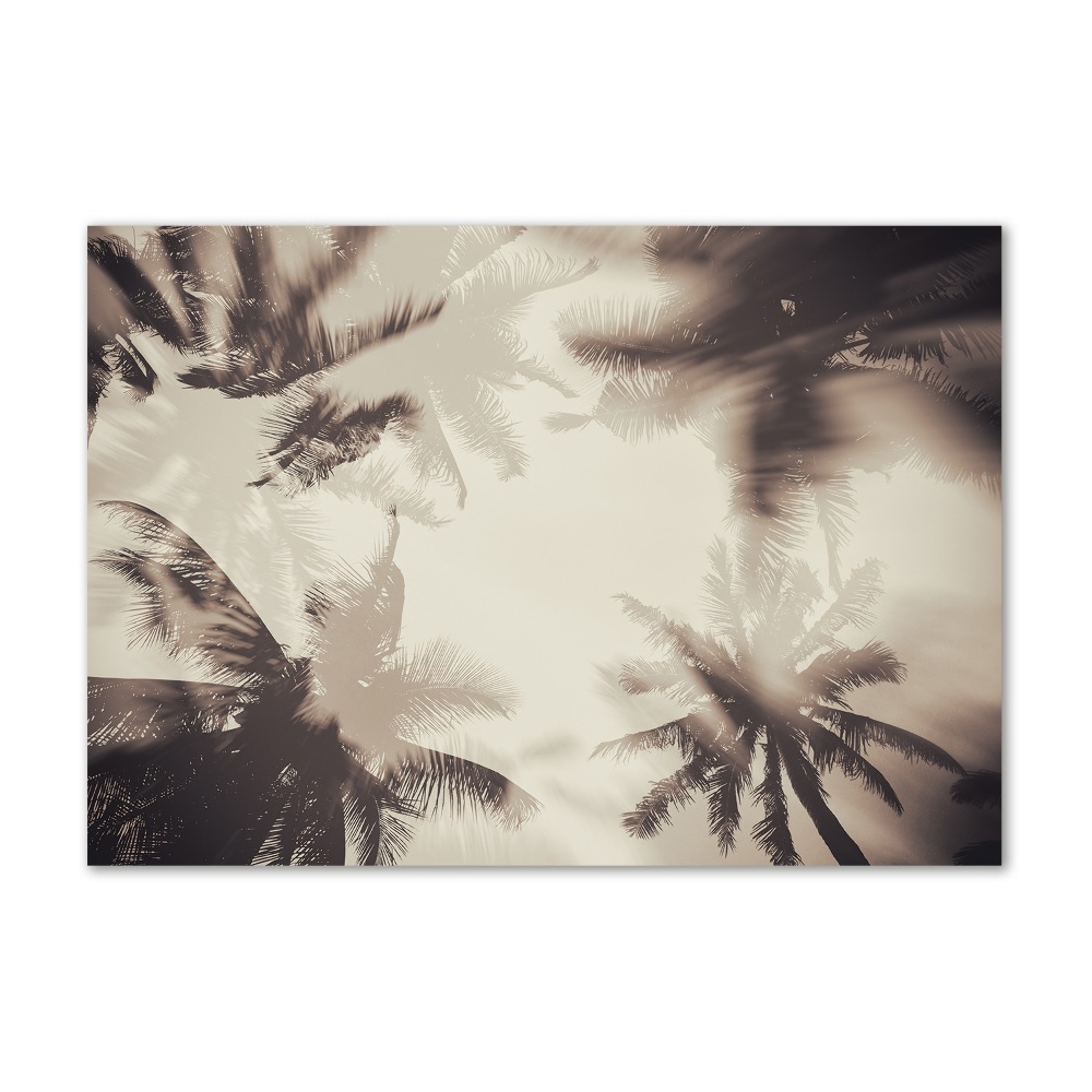 Glass art print Palm trees