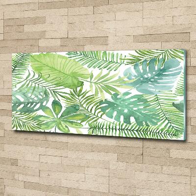 Photo printed on glass Tropical leaves