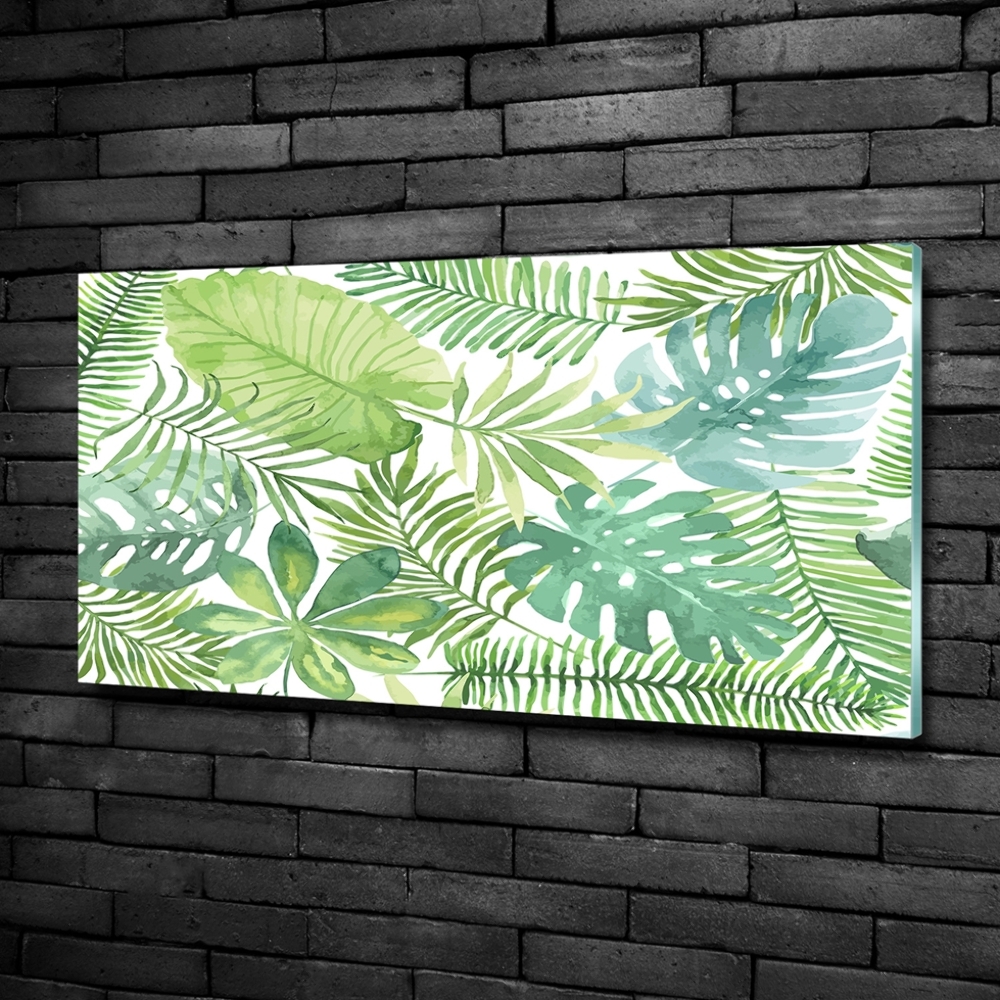 Photo printed on glass Tropical leaves