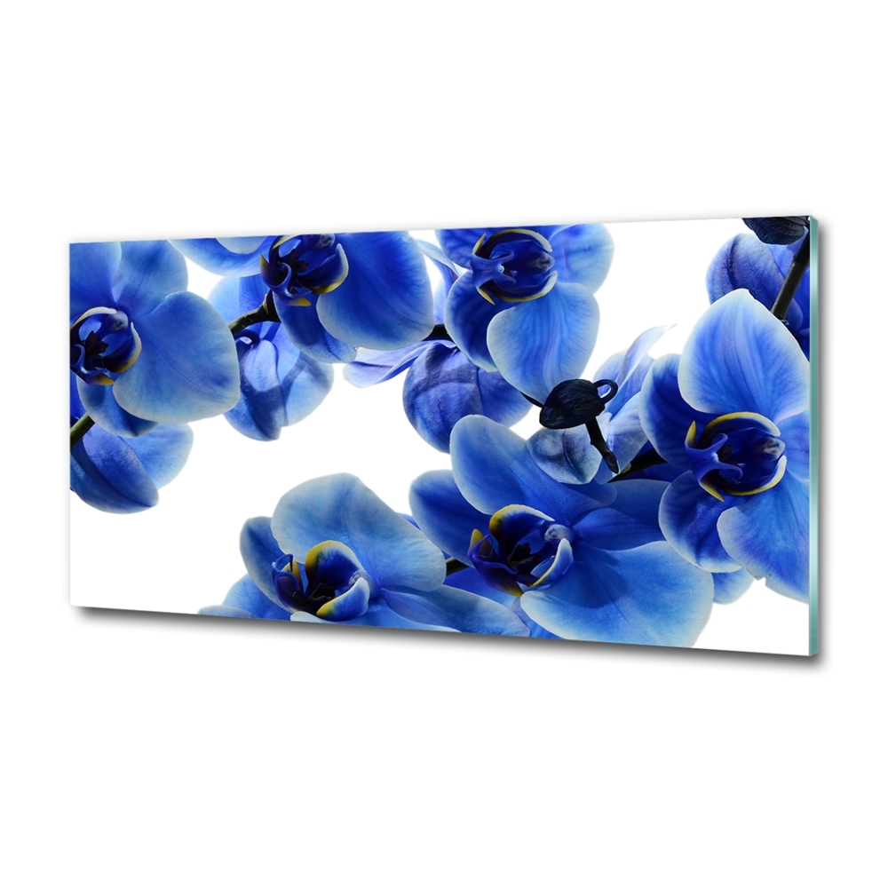 Wall art on glass Blue orchid