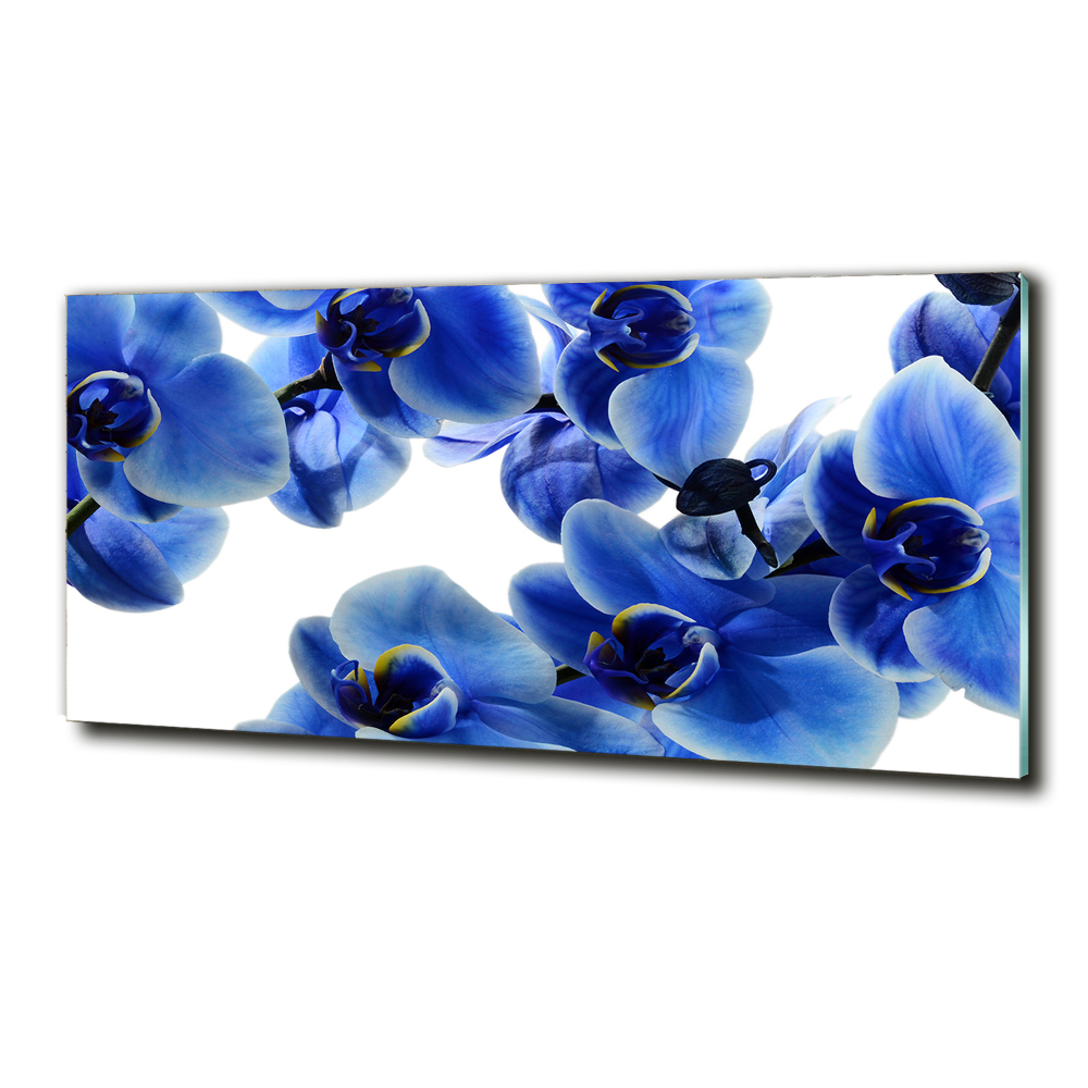 Wall art on glass Blue orchid