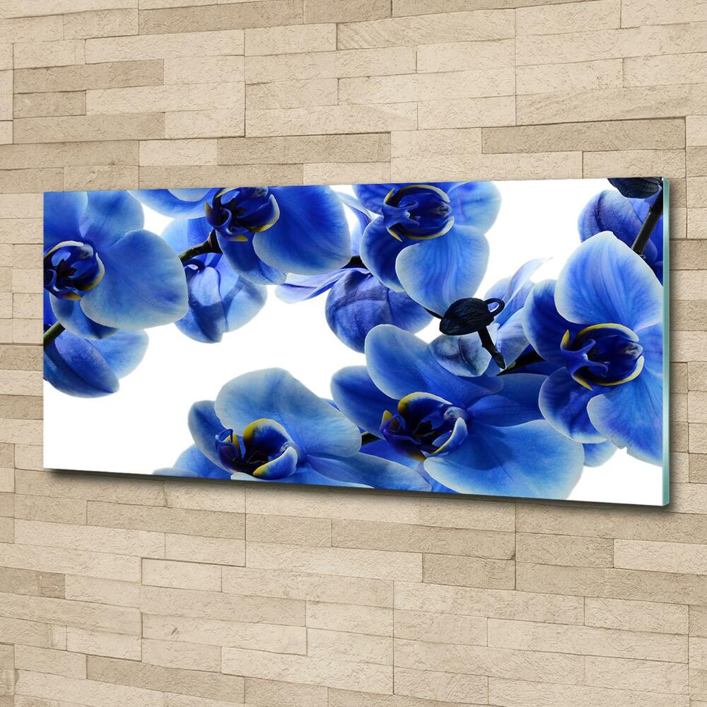 Wall art on glass Blue orchid