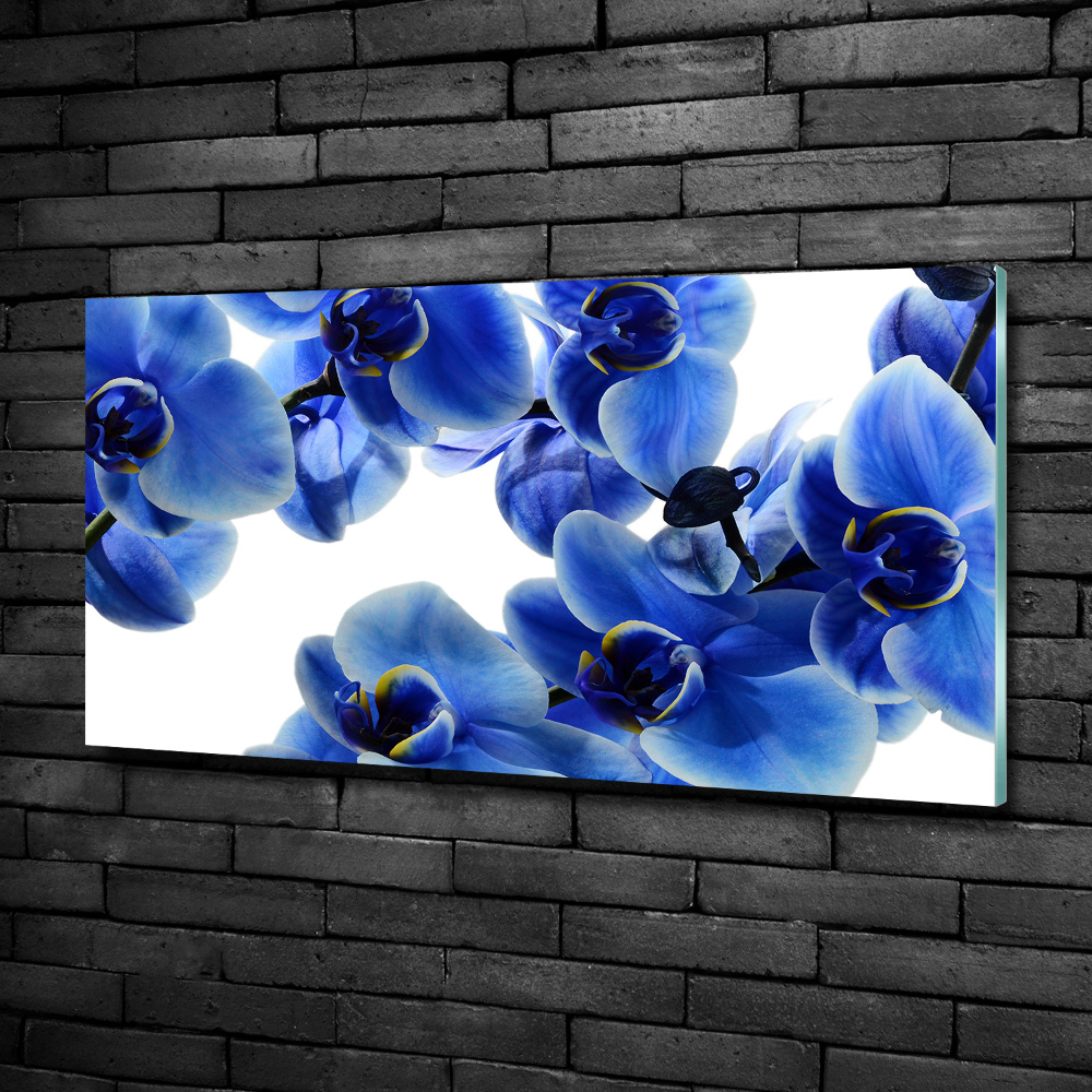 Wall art on glass Blue orchid