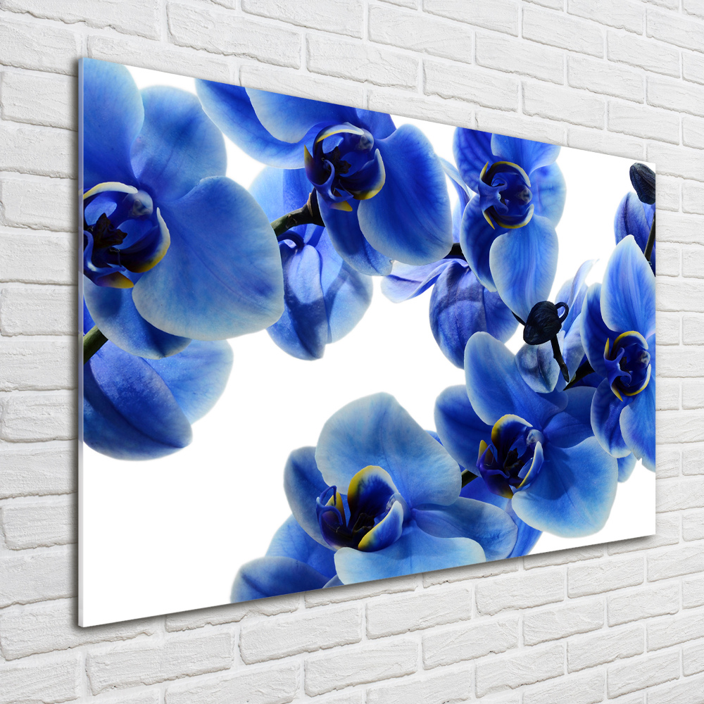 Wall art on glass Blue orchid