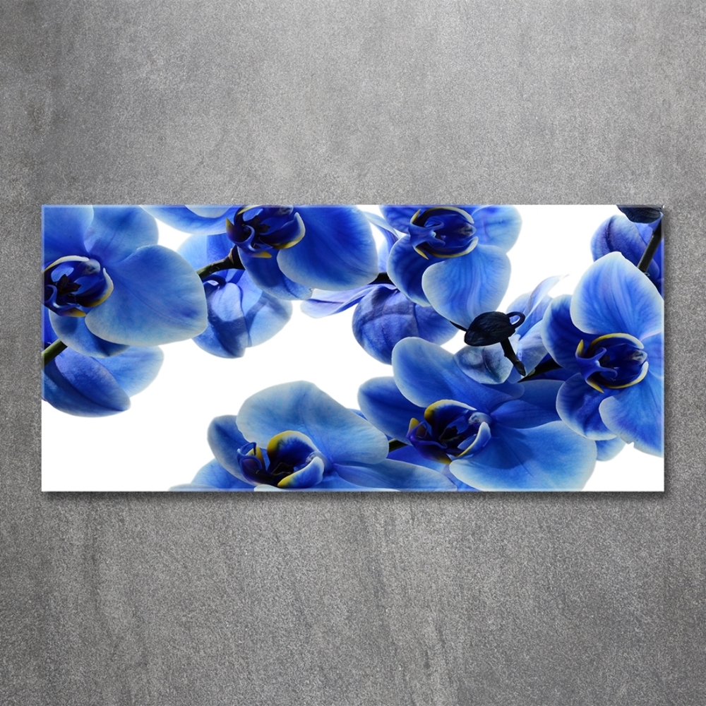 Wall art on glass Blue orchid