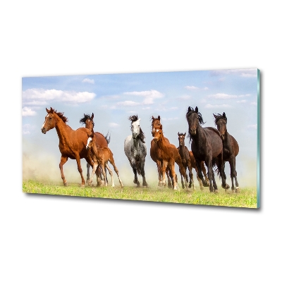 Glass art print Horses at gallop