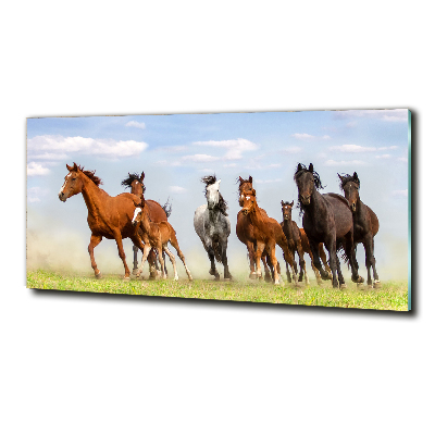 Glass art print Horses at gallop