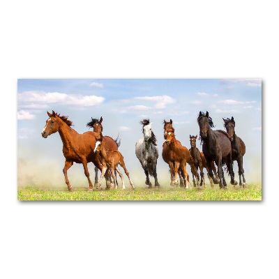 Glass art print Horses at gallop