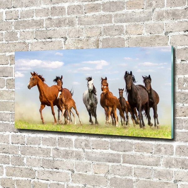 Glass art print Horses at gallop