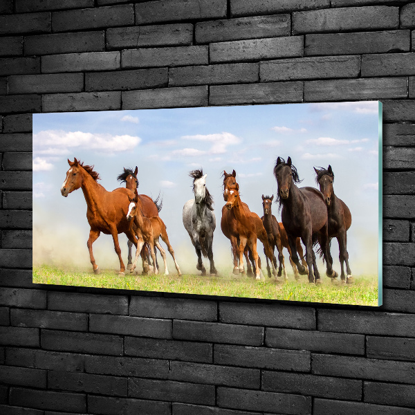 Glass art print Horses at gallop