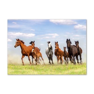 Glass art print Horses at gallop