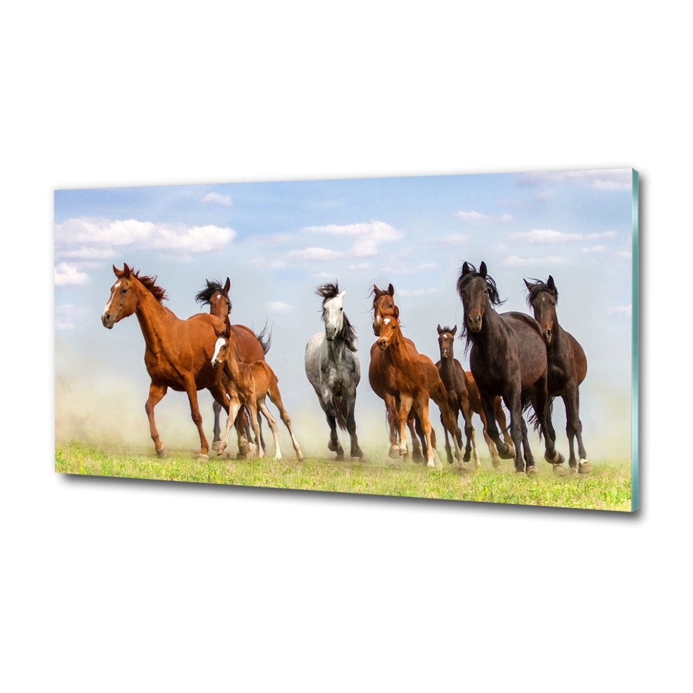 Glass art print Horses at gallop