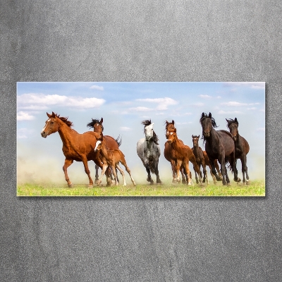 Glass art print Horses at gallop