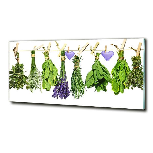 Wall art on glass Herbs on a string