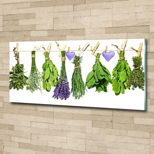 Wall art on glass Herbs on a string