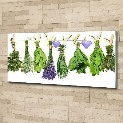 Wall art on glass Herbs on a string