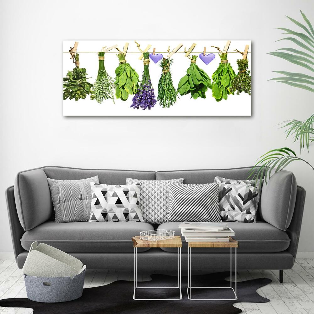 Wall art on glass Herbs on a string