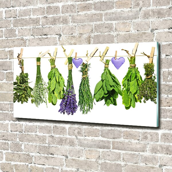 Wall art on glass Herbs on a string