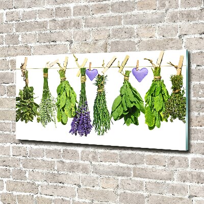 Wall art on glass Herbs on a string