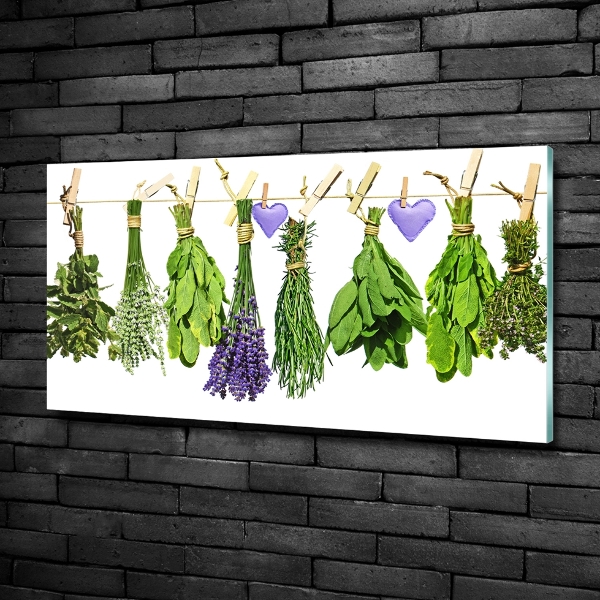 Wall art on glass Herbs on a string