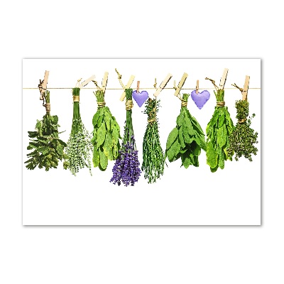 Wall art on glass Herbs on a string