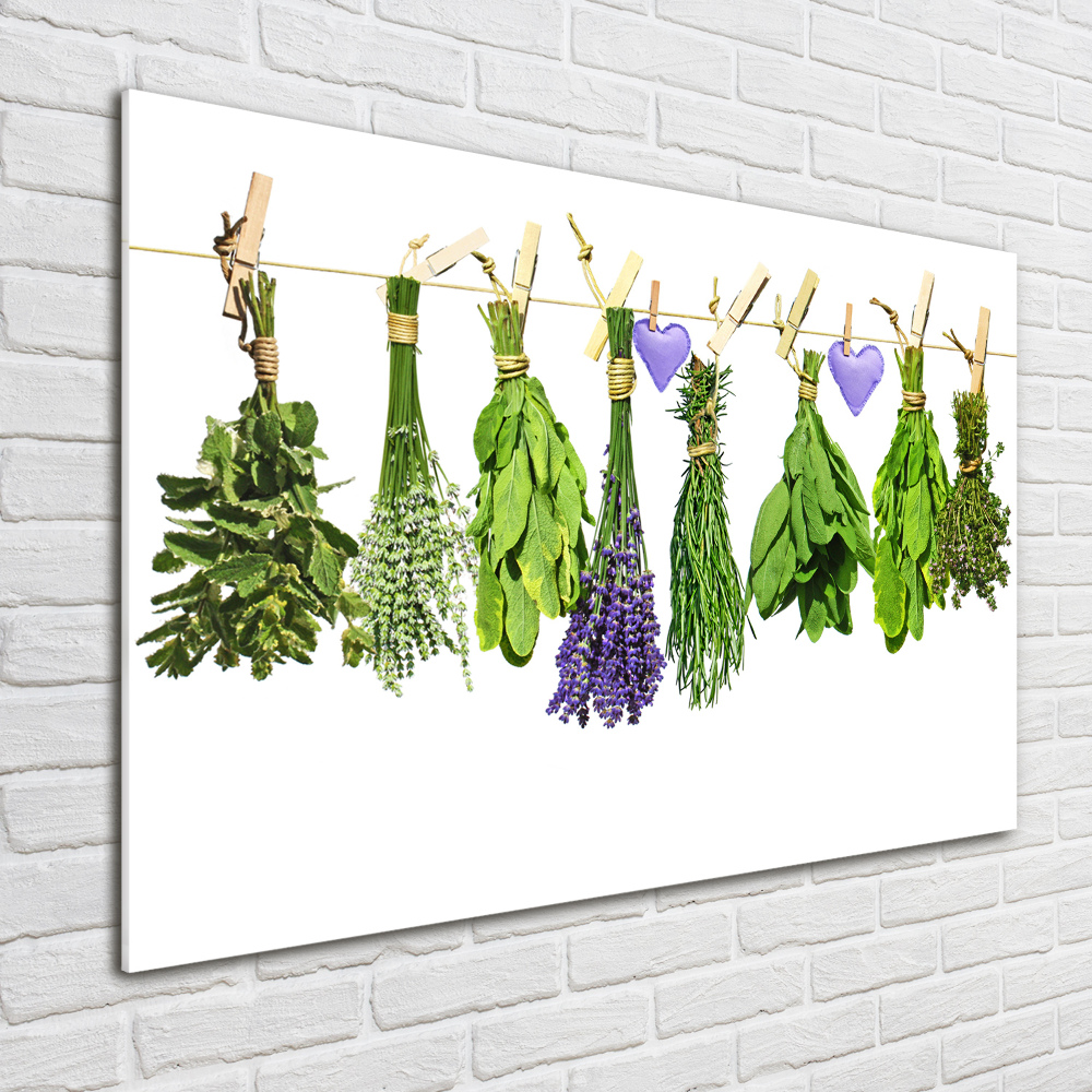 Wall art on glass Herbs on a string