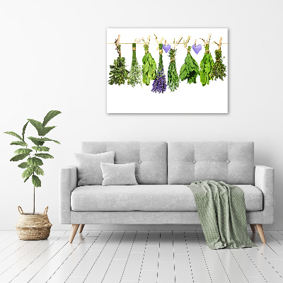 Wall art on glass Herbs on a string