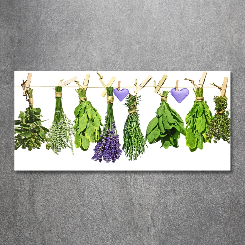 Wall art on glass Herbs on a string