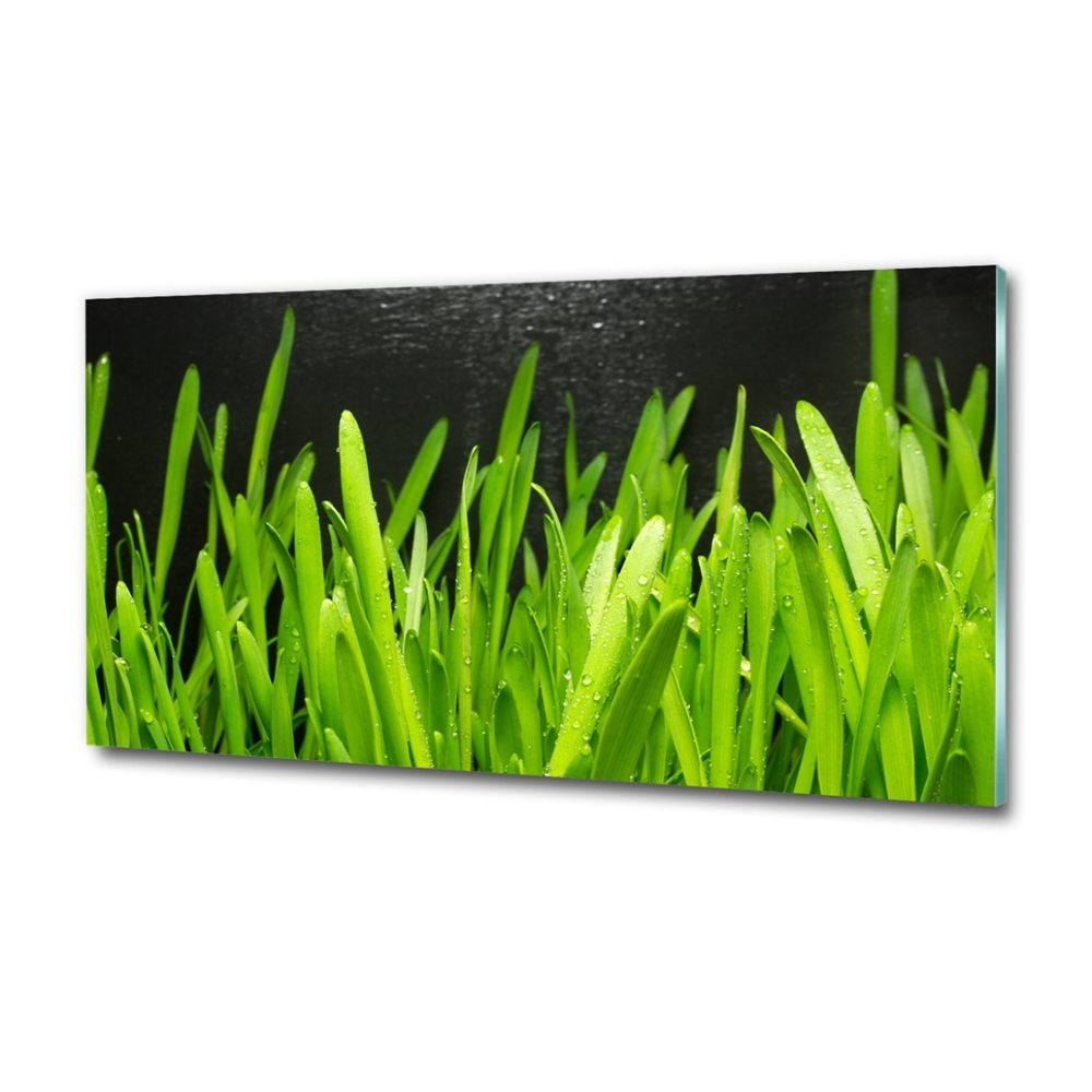 Glass art print Grass