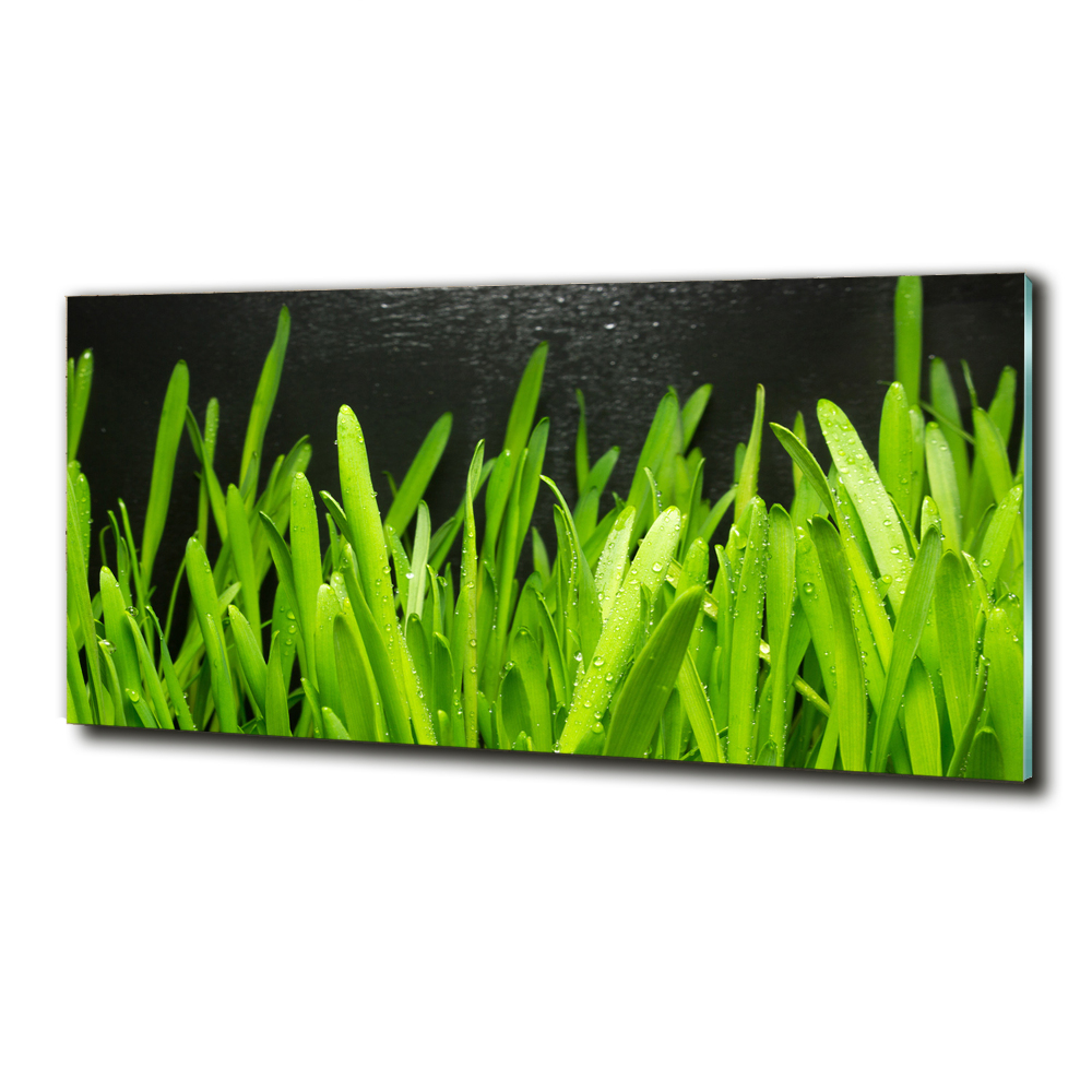 Glass art print Grass