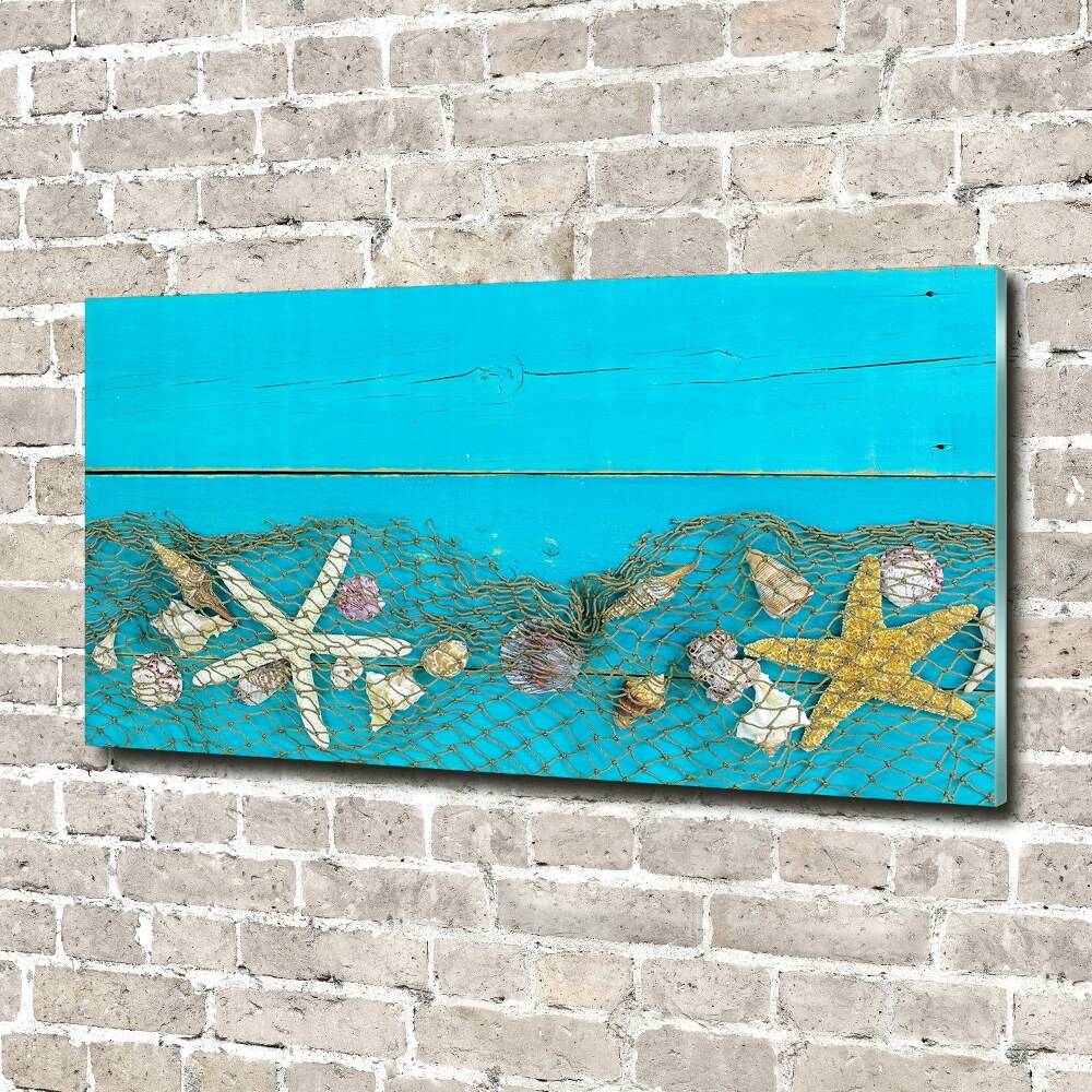 Wall art on glass Starfish and shells